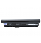 Sony VAIO VGN-TZ93US / VGP-BPX11 6600 mAh Li-Ion 11,1 V (Cameron Sino)