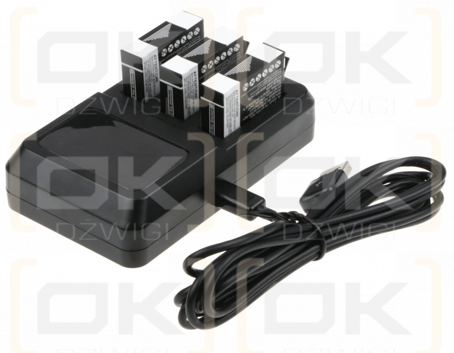 GoPro Hero 4+ / AHDBT-401 (Cameron Sino)