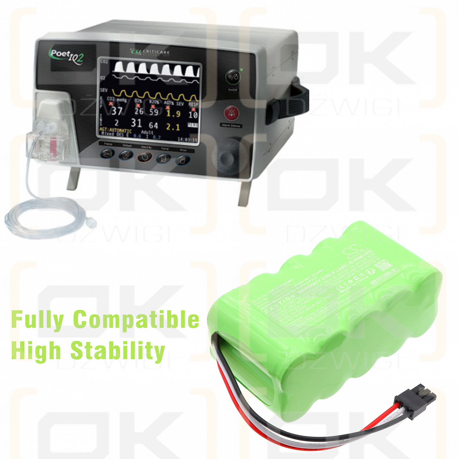 Criticare Poet IQ2 / 42381B001 2150mAh Ni-MH 12.0V (Cameron Sino)