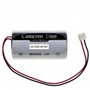 DSC 2 way Wireless external siren / ER34615M-T1 14500mAh Li-MnO2 3.6V (Cameron Sino)