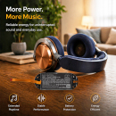 Ersatzakku für Dyson OnTrac Kopfhörer / X571-22H01A22J01P 1250 mAh Li-Polymer 3,85 V (Cameron Sino)