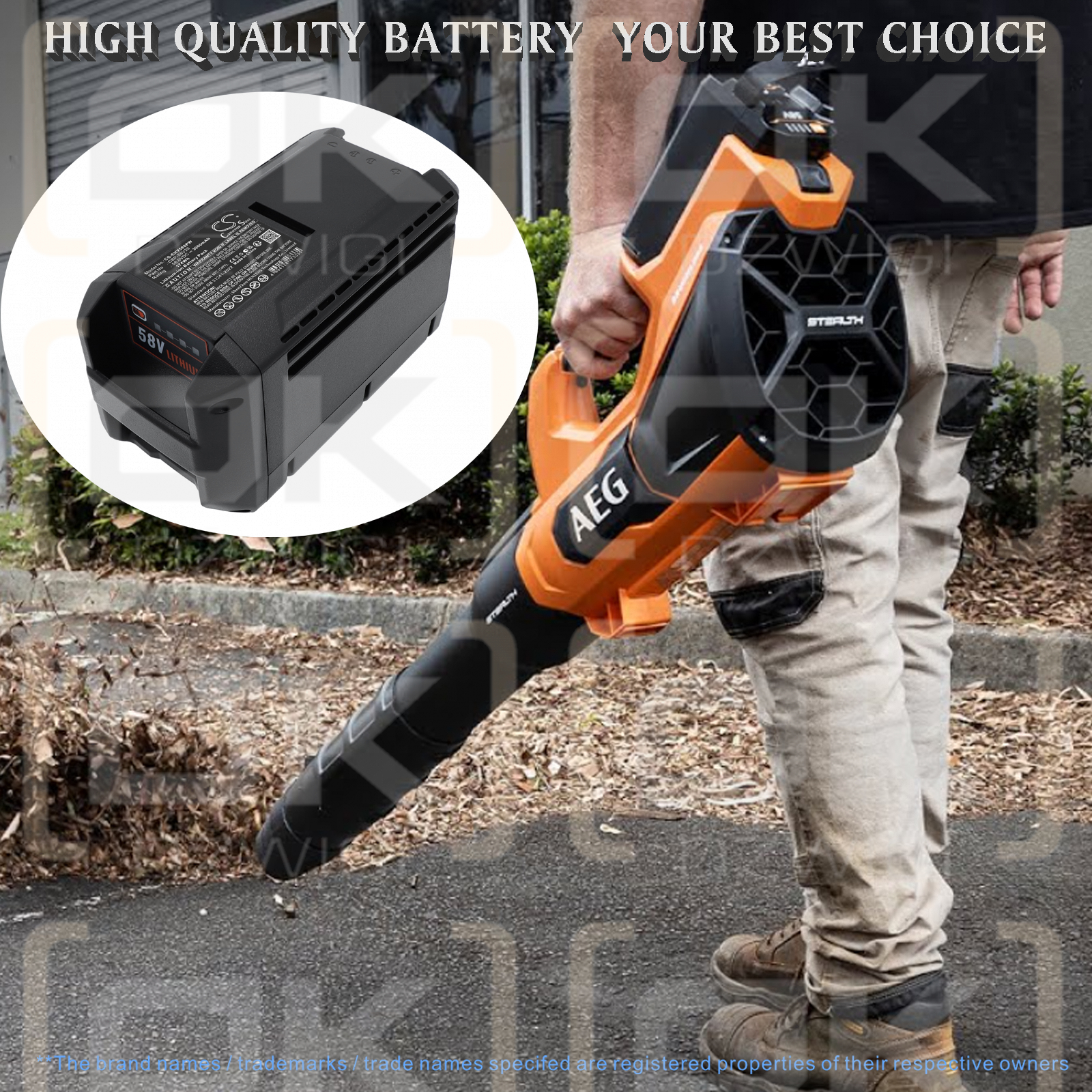 AEG ALM58LI402 / 42 2022 3000 мАч Li-ion 58 В (Cameron Sino)