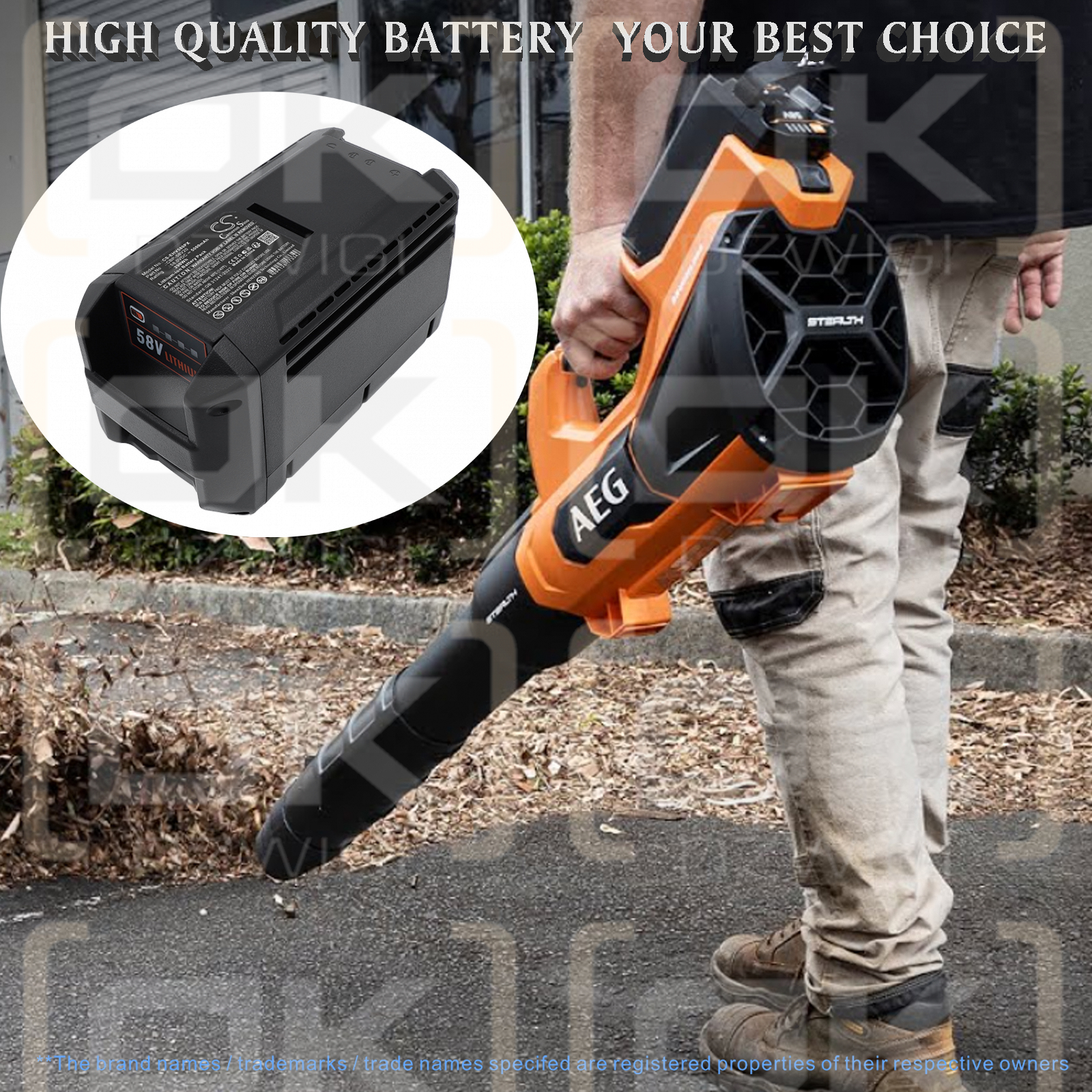 AEG ALM58LI402 / 42 2022 5000 мАч Li-ion 58 В (Cameron Sino)