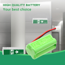 Fischer AW-0480-0080AAA-NM01 800mAh Ni-MH 4.8V (Cameron Sino)