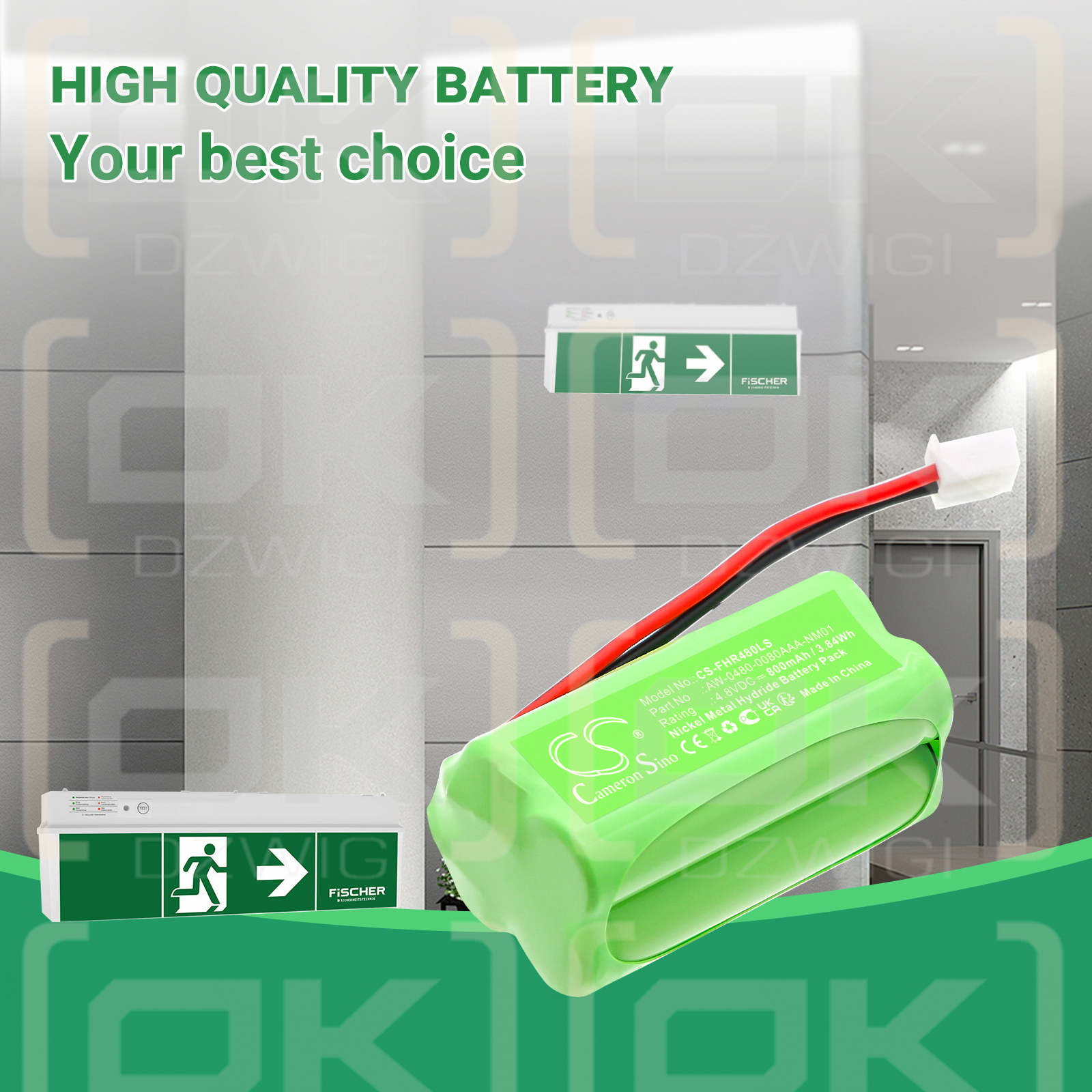 Fischer AW-0480-0080AAA-NM01 800mAh Ni-MH 4.8V (Cameron Sino)