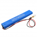 Fulham HotSpot FHSCP-UNV-10P-L-SD / IFR18650E 3S2P 3600mAh LiFePO4 9.6V (Cameron Sino)