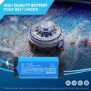 Batería eléctrica GRE Wet Runner RBR120 / P1111283BU de 2600 mAh, ion de litio y 11,1 V (Cameron Sino)