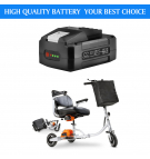 SuperHandy 3 Wheel Power Mobility Scooter /  GUO050 2000 mAh Li-ion 48 V (Cameron Sino)