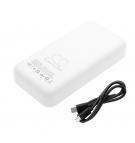  Литий-полимерный аккумулятор 20000 мАч, 5,0 В (Cameron Sino)