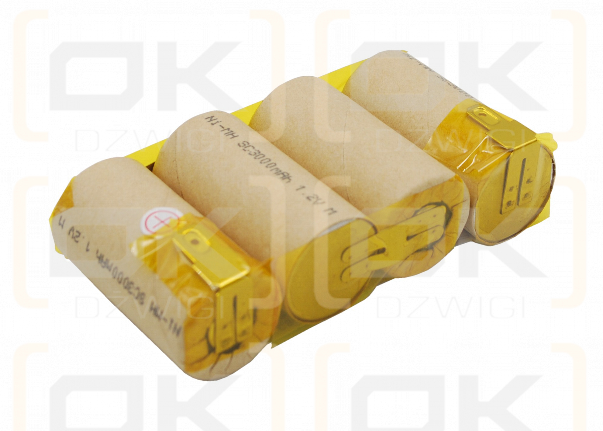 KARCHER 1.258-409.0 / ABS-K55 3000 mAh Ni-MH 4,8 V (Cameron Sino)