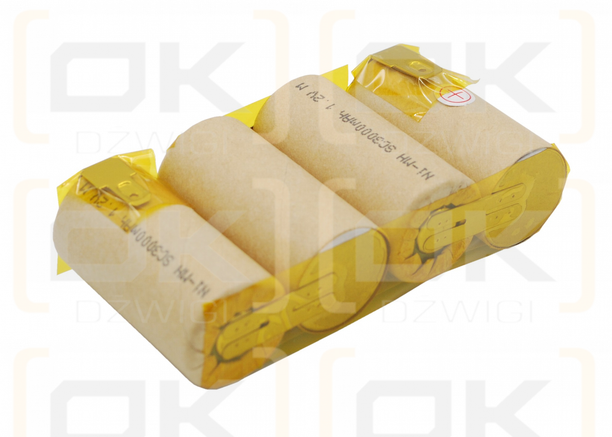 KARCHER 1.258-409.0 / ABS-K55 3000 mAh Ni-MH 4,8 V (Cameron Sino)