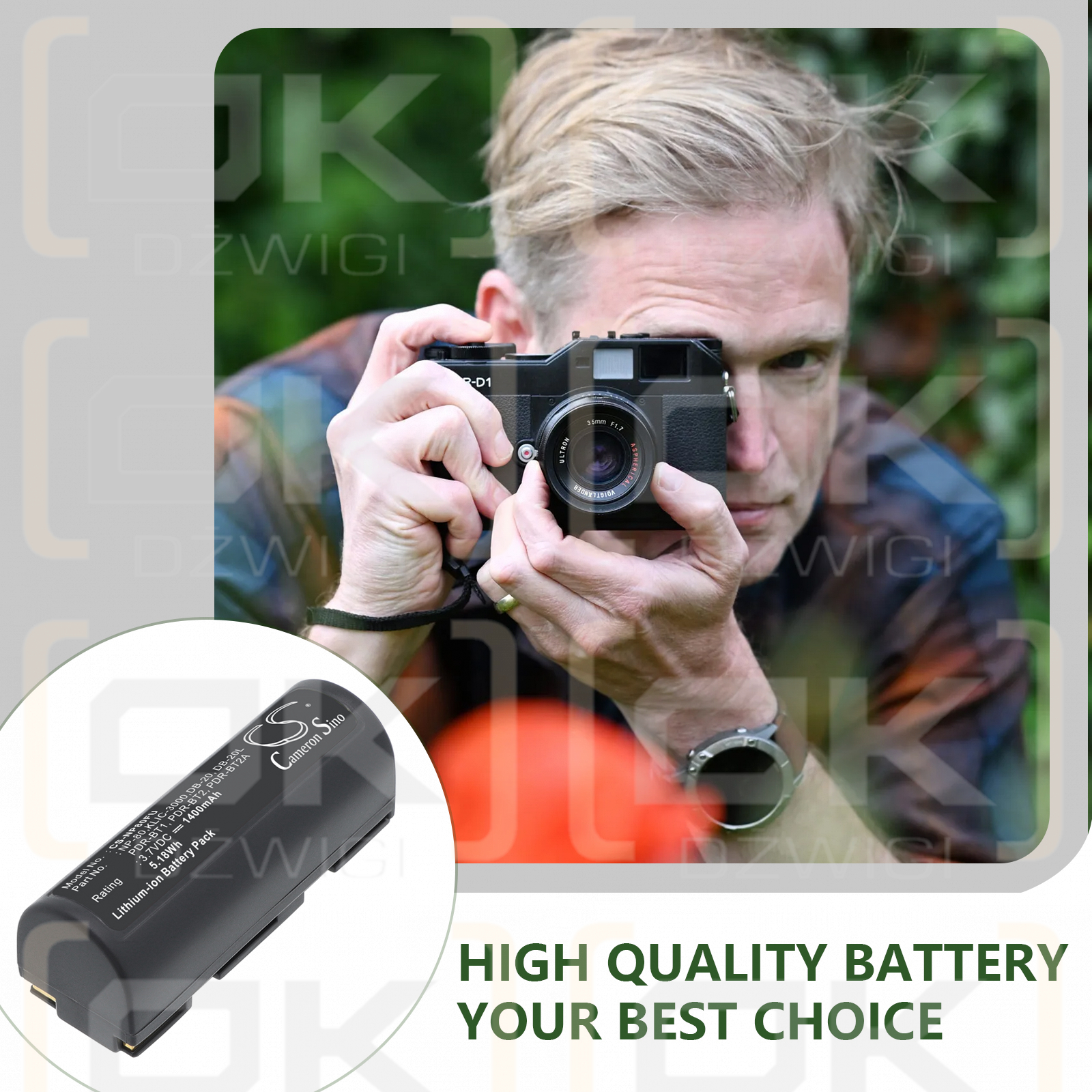 Replacement Battery for Toshiba PDR-M70 / PDR-BT1 1400 mAh Li-ion 3.7 V (Cameron Sino)