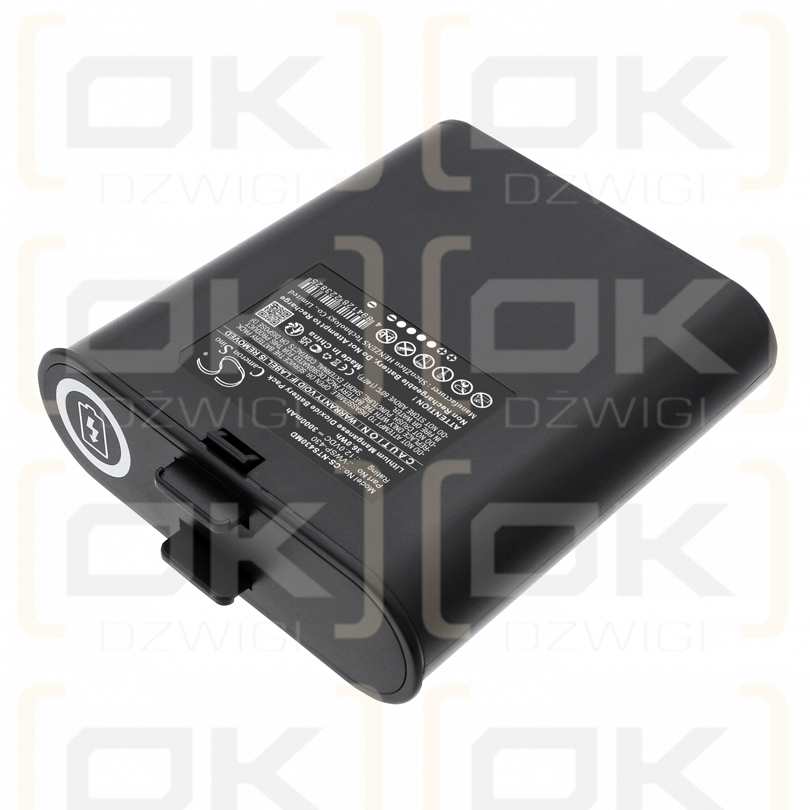 Inovytec VWSP-900 / VWSP-430 3000 mAh Li-MnO2 12 V (Cameron Sino)