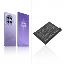 Oneplus PJE110 / BLPA33 2550 mAh Li-Polymer 7,82 V (Cameron Sino)
