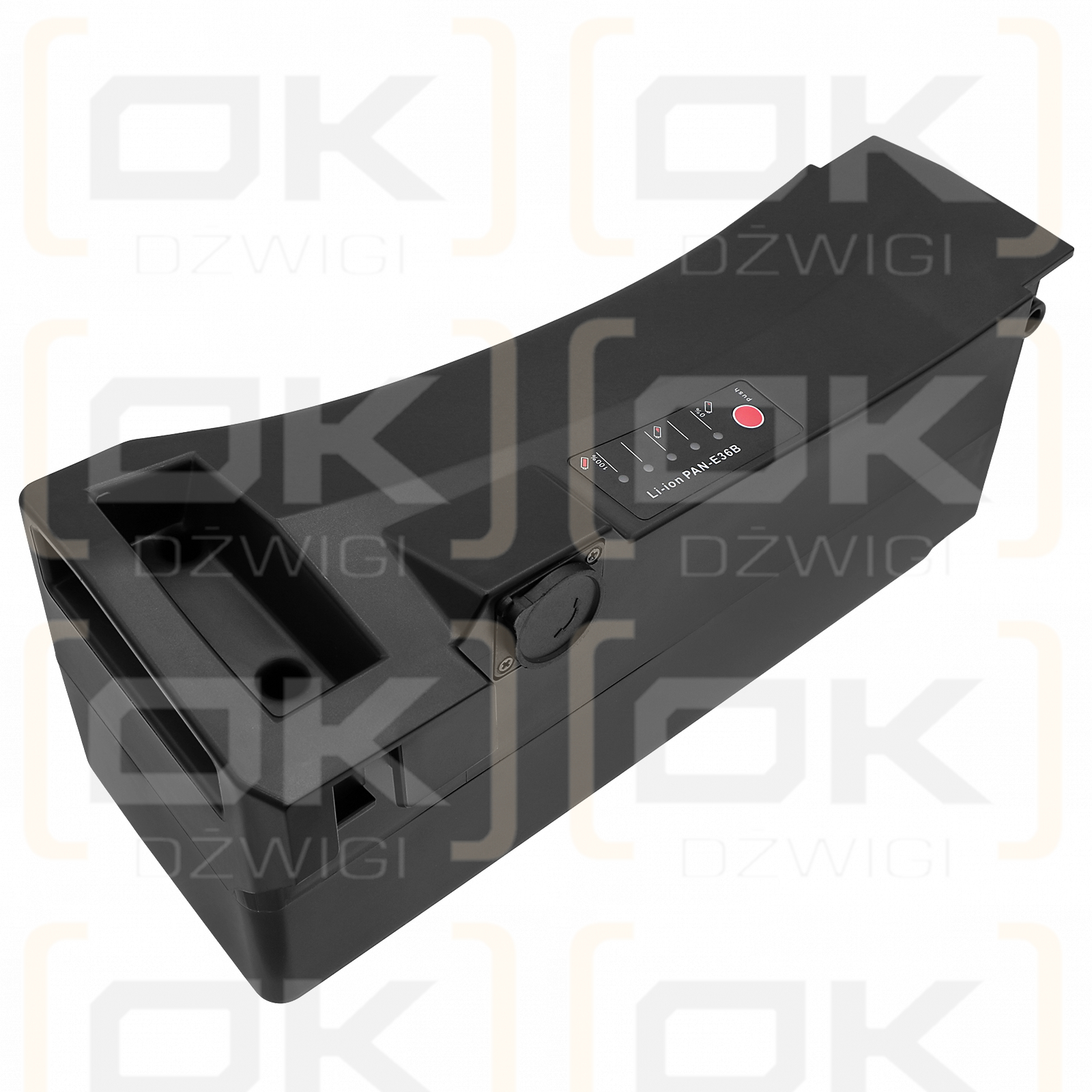 Panasonic Rixe / 19396-1GP 13000 mAh Li-Ion 36 V (Cameron Sino)