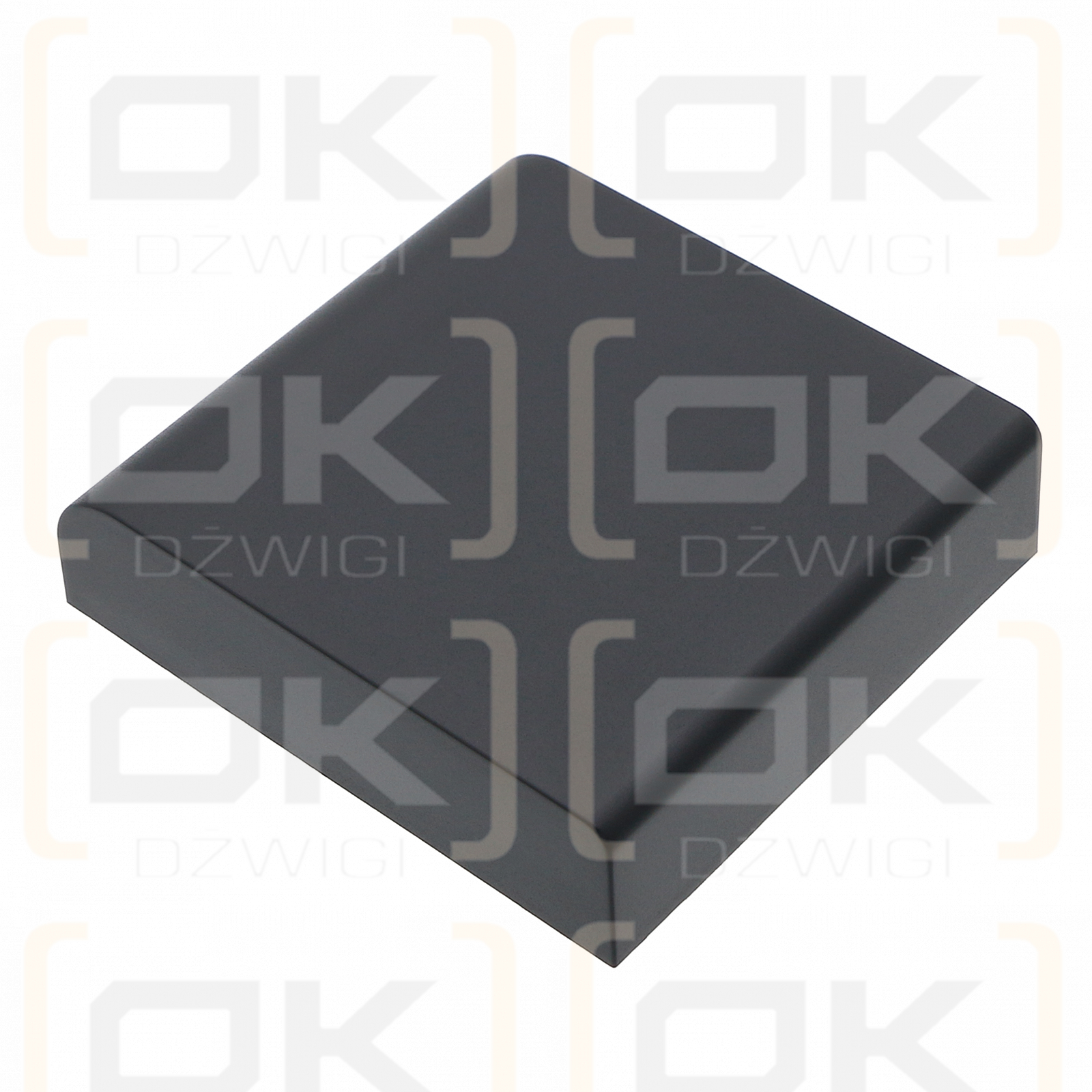 Panasonic PB-900I / WX-PB900 1500mAh Ni-MH 4.8V (Cameron Sino)