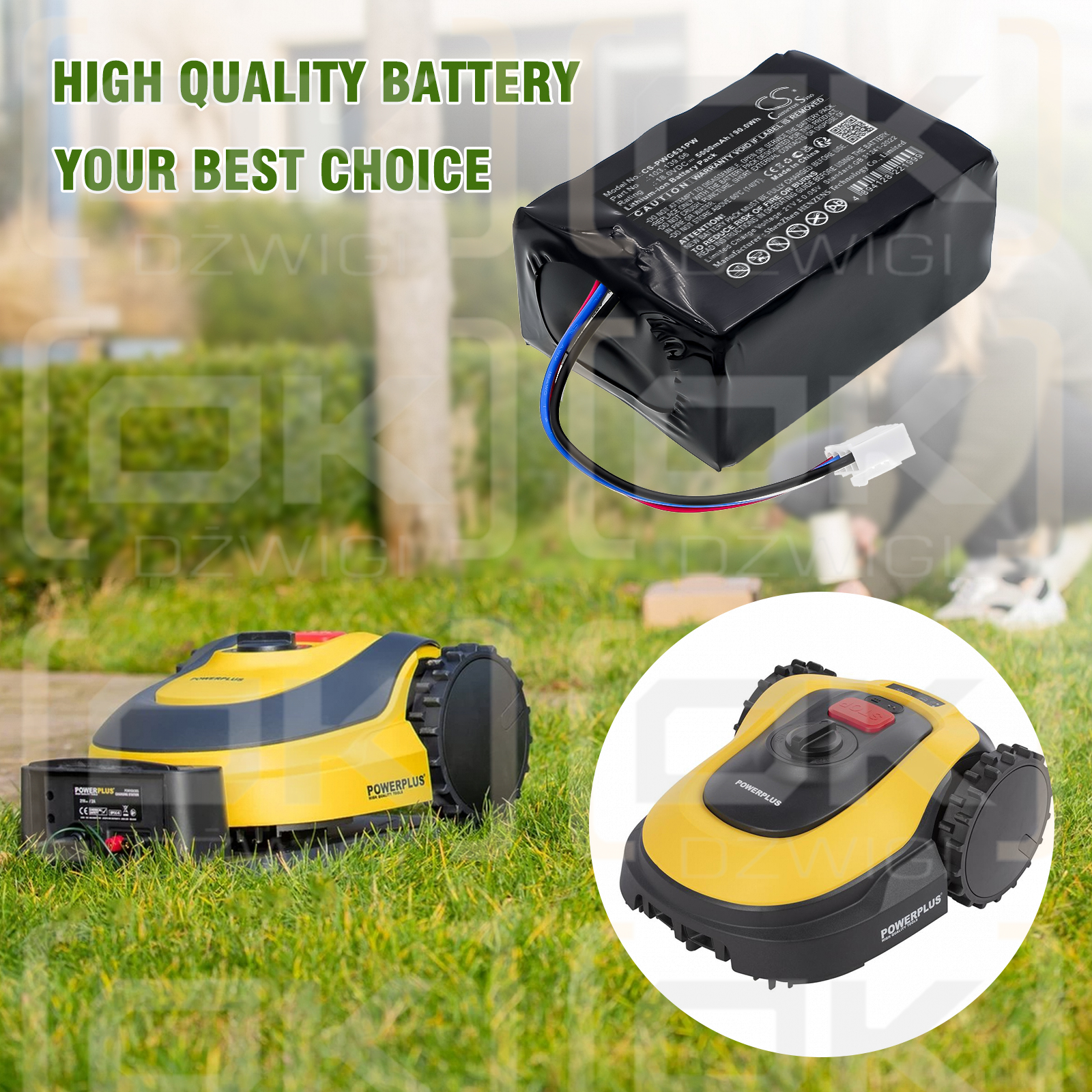 PowerPlus POWXG6310 / 103.139.06 5000mAh Li-ion 18.0V (Cameron Sino)