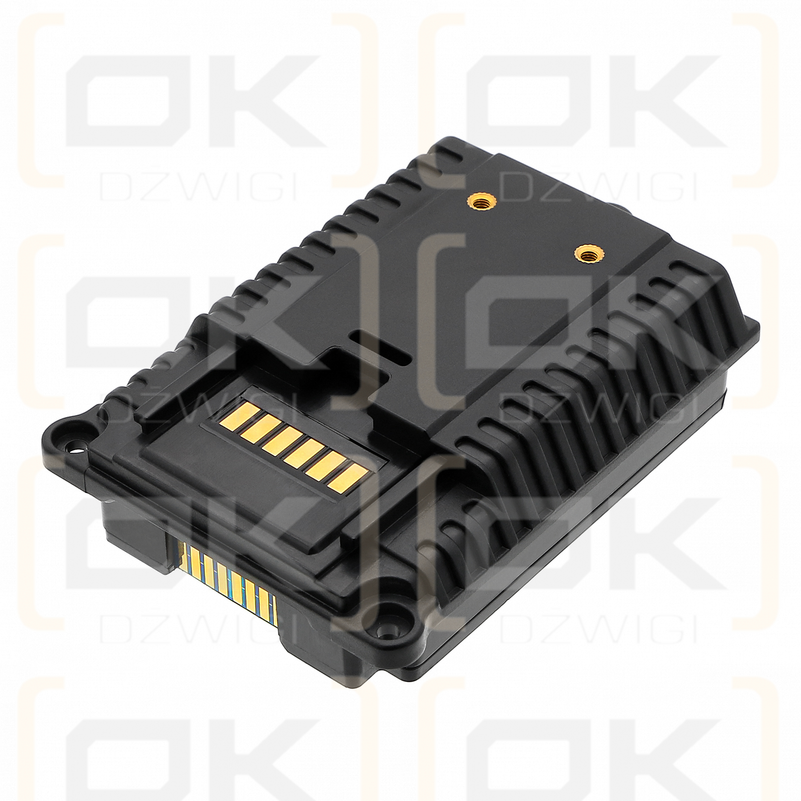 RAE Systems RLM-3000 / 029-3501-000 1800 mAh Li-Ionen 7,4 V (Cameron Sino)