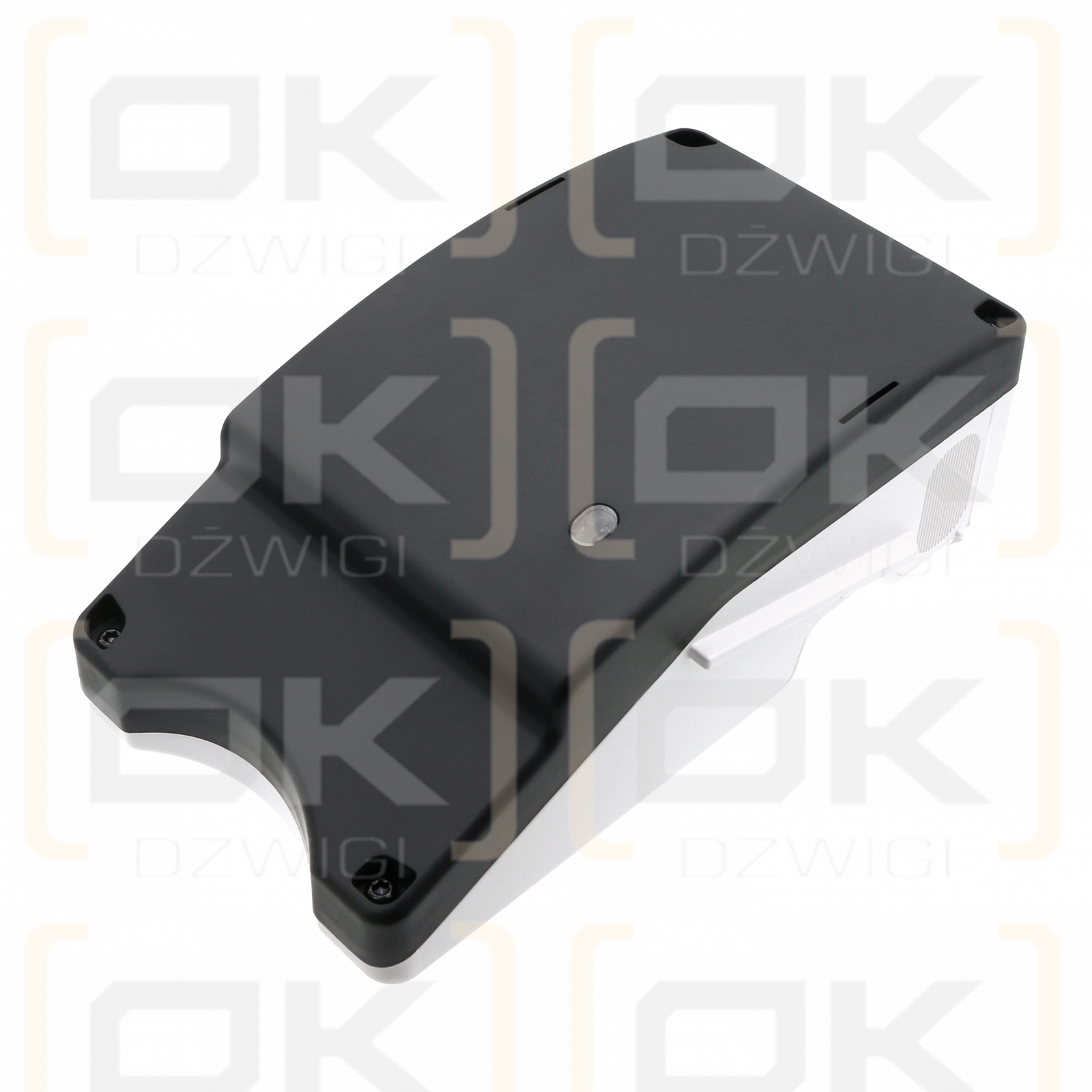 Rowenta RY8561WH / SS-2230002640 2500 mAh Li-ion 32,4 V (Cameron Sino)