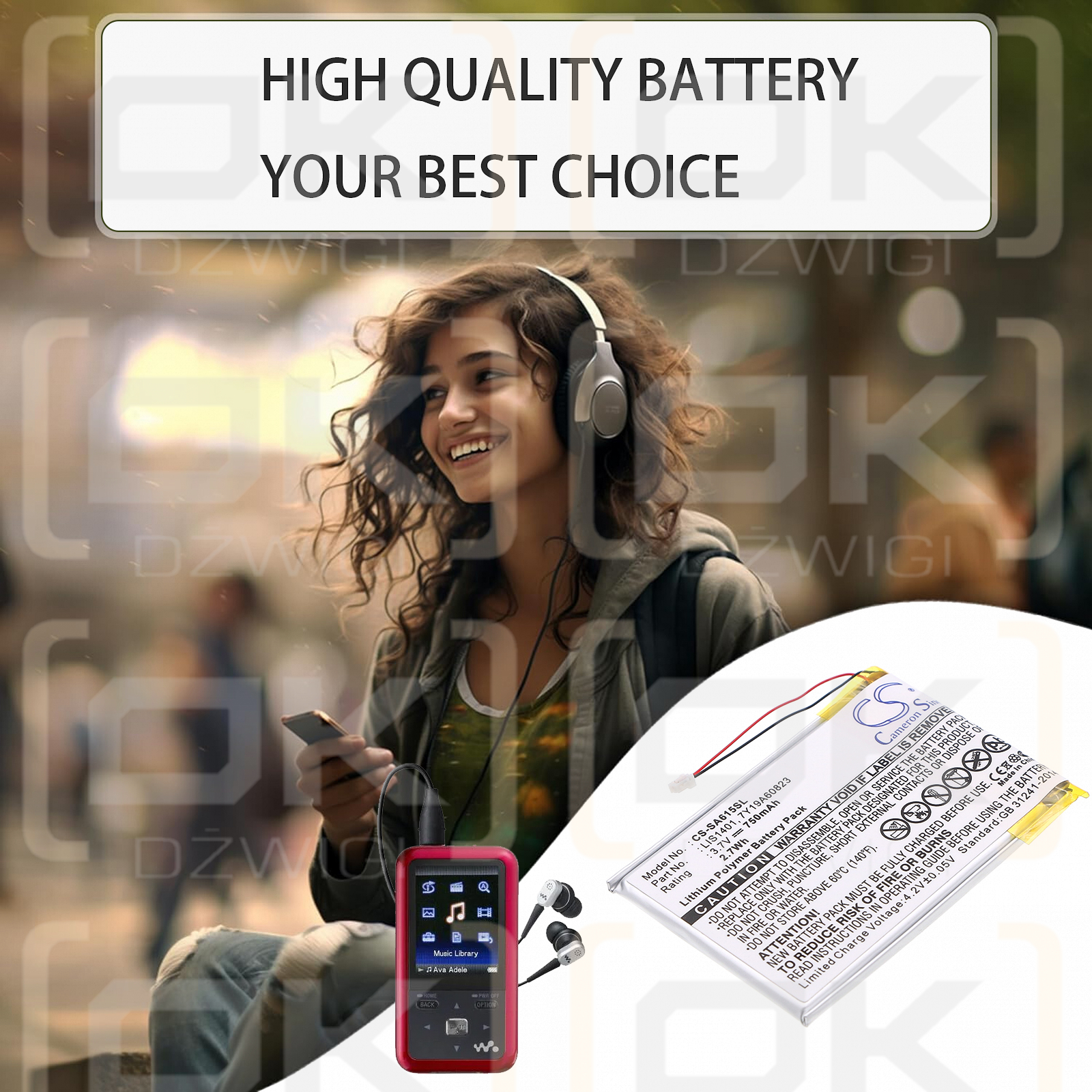 Sony NWZ-S638FRED / 1-756-763-11 750 mAh Li-Polymer 3,7 V (Cameron Sino)