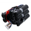 Solac AE2536 2JG / S00001979 2200 mAh Li-Ionen 36,0 V (Cameron Sino)