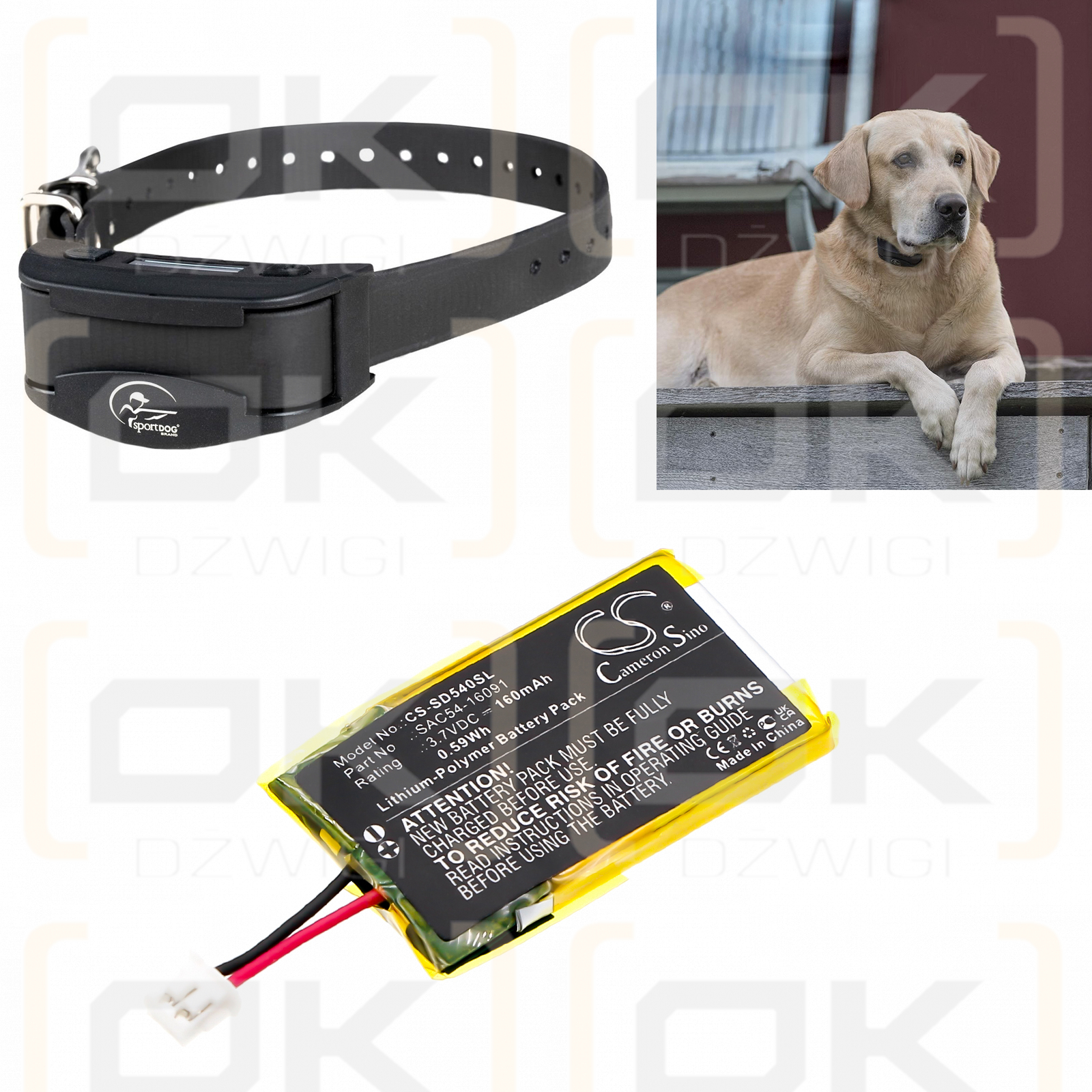 SportDog SBC-R SportDog Bellhalsband / SAC54-16091 160 mAh Li-Polymer 3,7 V (Cameron Sino)