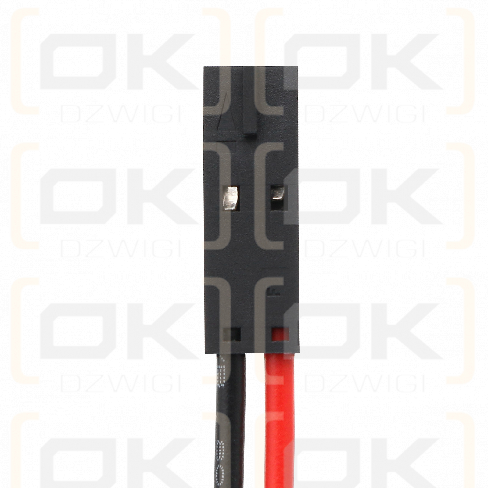 DoorLock / DL-2EN 2300mAh Alkaline 6.0V (Cameron Sino)