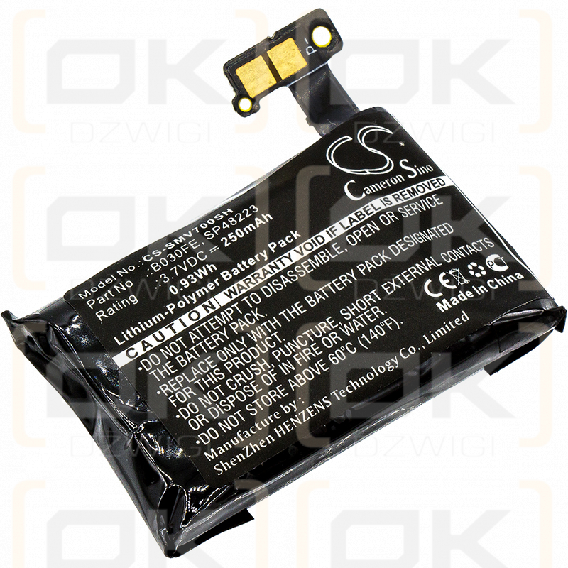 Samsung SM-V700 / B030FE 250 mAh Li-Polymer 3,7 V (Cameron Sino)