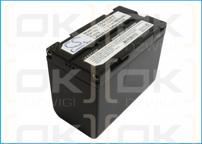 Panasonic NV-DX100 / VW-VBD815 6000mAh Li-ion 7.4V (Cameron Sino)