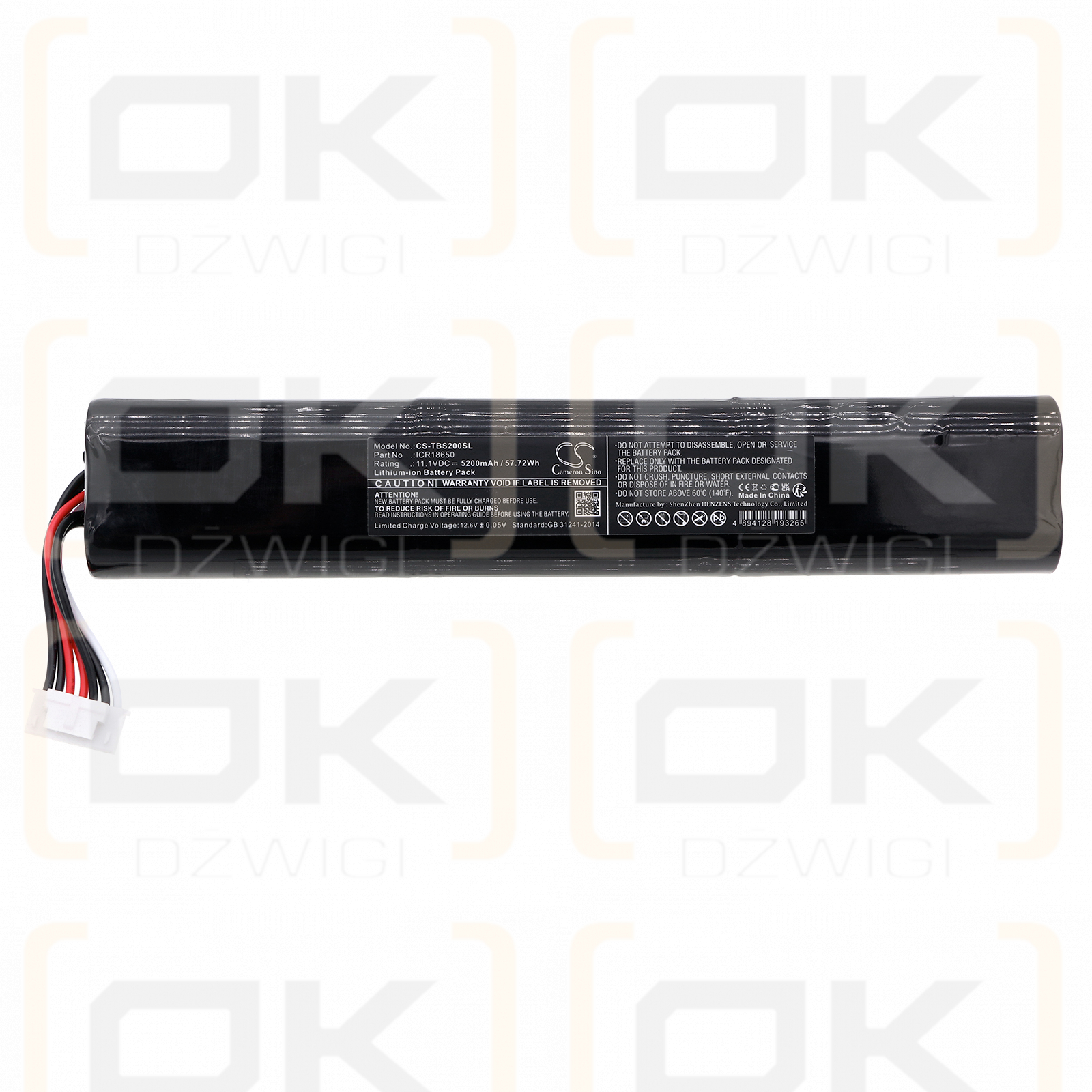 Teufel Boomster 2020 / ICR18650 5200mAh Li-ion 11.1V (Cameron Sino)