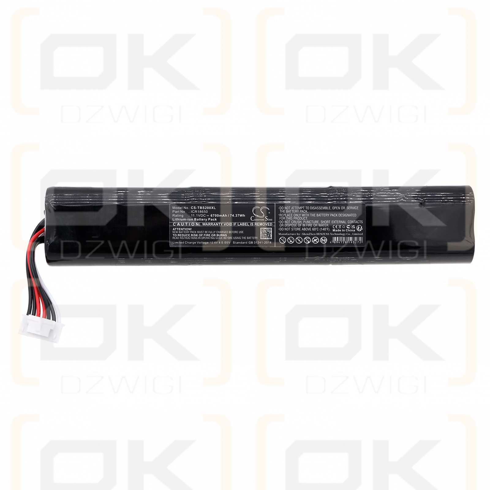 Teufel Boomster 2020 / ICR18650 6700mAh Li-ion 11.1V (Cameron Sino)