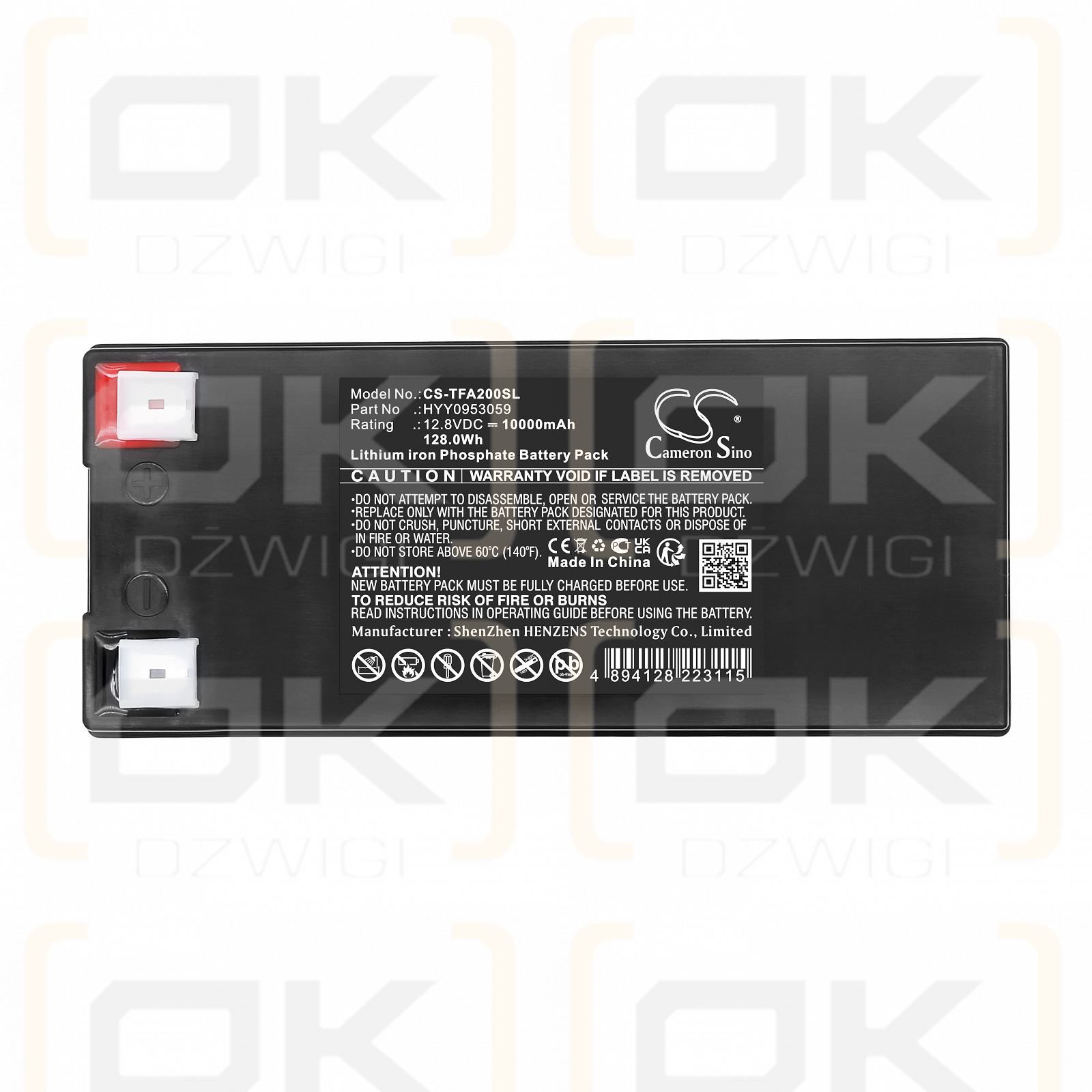 Teufel ROCKSTER Air 2 / HYY0953059 10000mAh LiFePO4 12.8V (Cameron Sino)