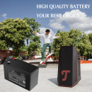 Teufel ROCKSTER Air 2 / HYY0953059 10000mAh LiFePO4 12.8V (Cameron Sino)