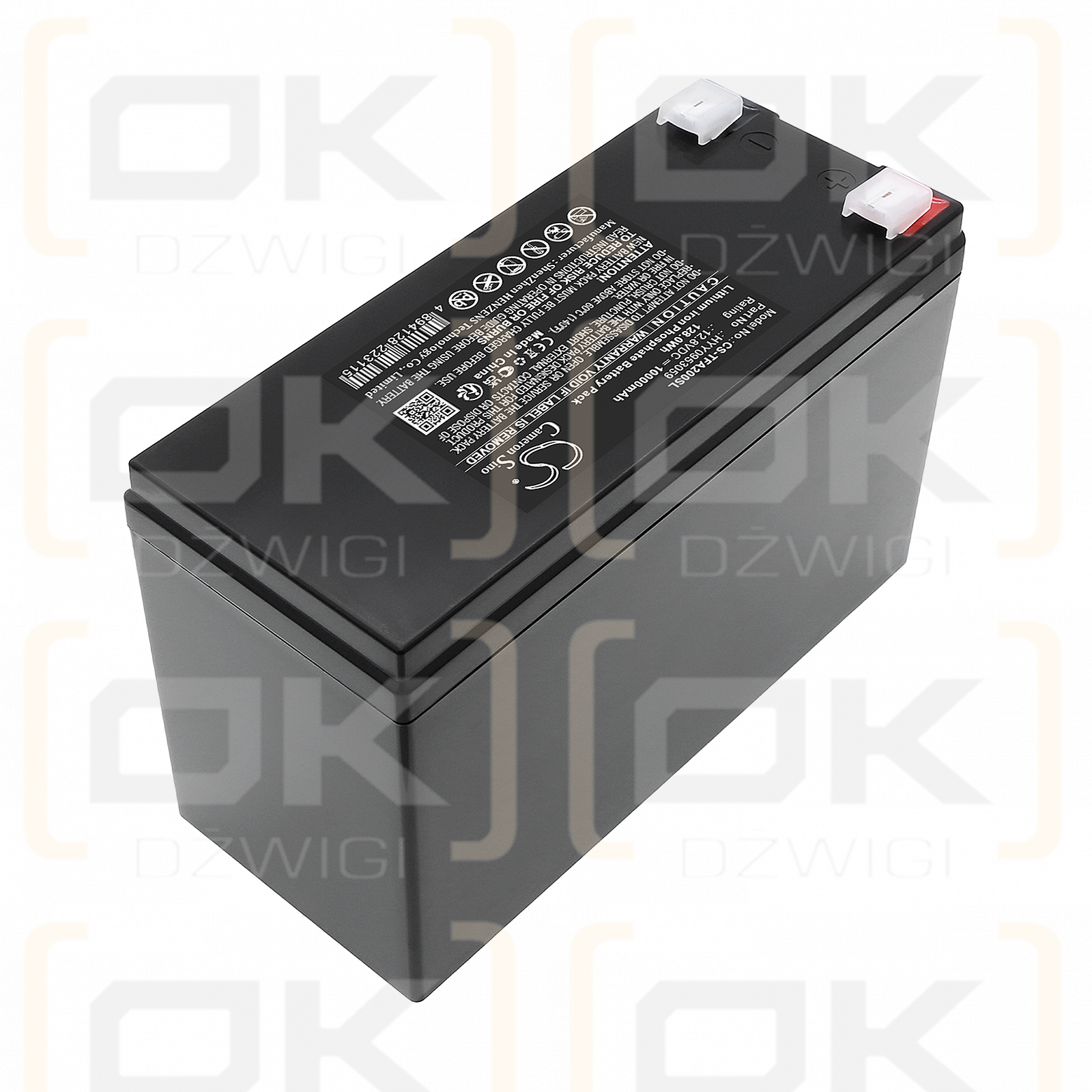 Teufel ROCKSTER Air 2 / HYY0953059 10000mAh LiFePO4 12.8V (Cameron Sino)