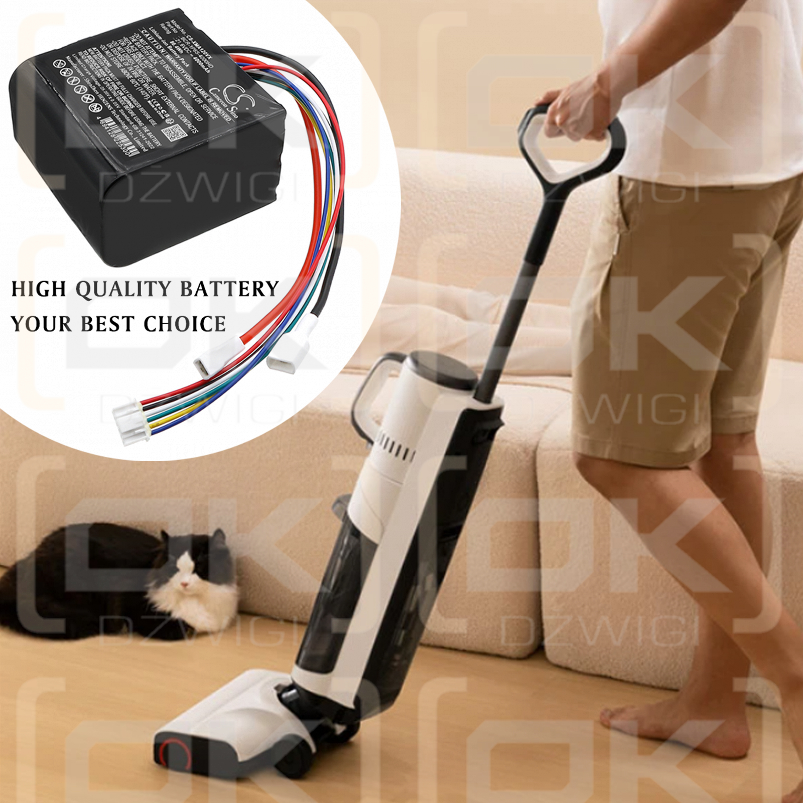 Roborock A10 Ultra E / BCR-1P6S-4000HD 4000 mAh Li-ion 21.6 V (Cameron Sino)