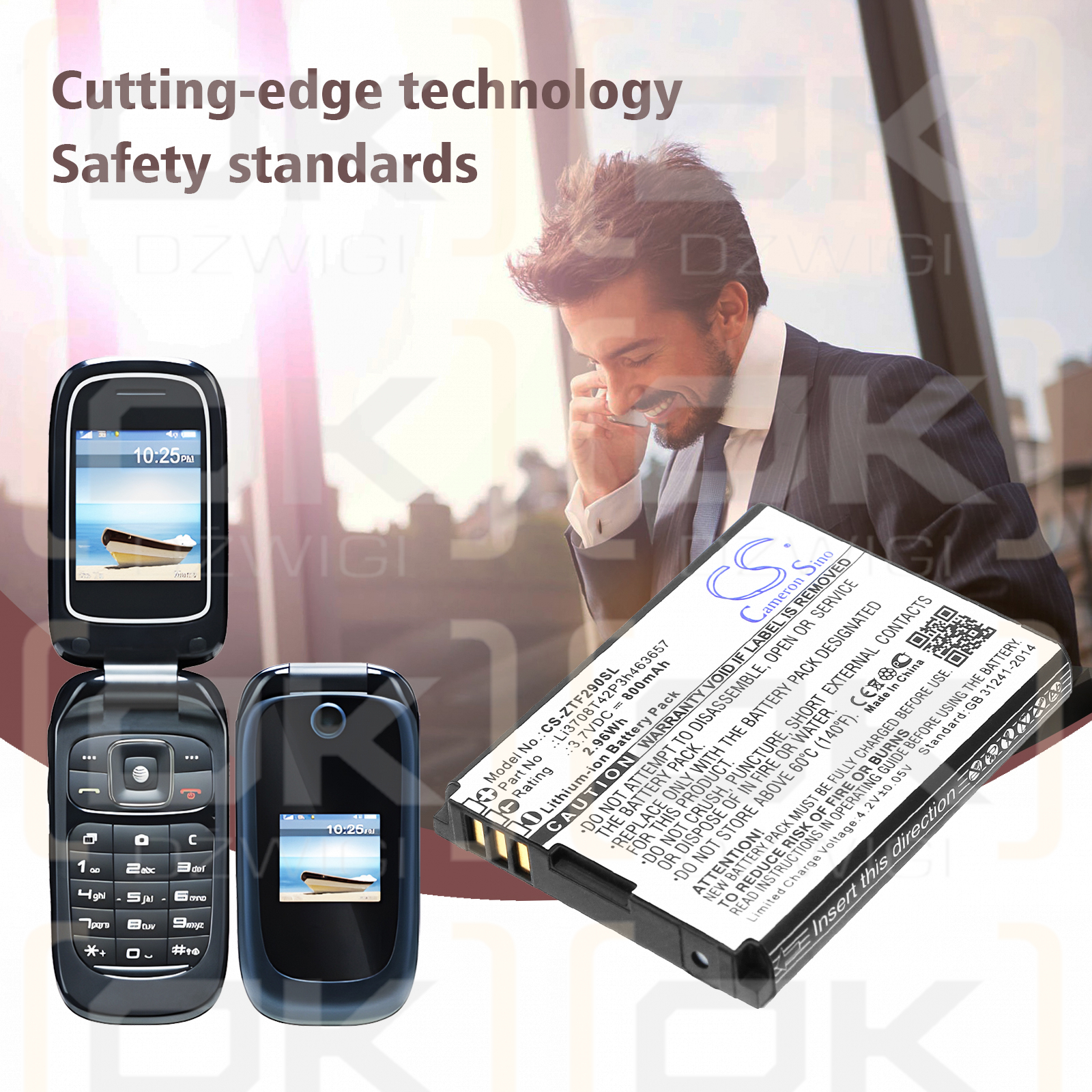 T-Mobile Vairy Touch II / Li3709T42P3h463657 800 mAh Li-Ion 3,7 V (Cameron Sino)