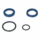 Maxilift seal kit; GZ.9.011