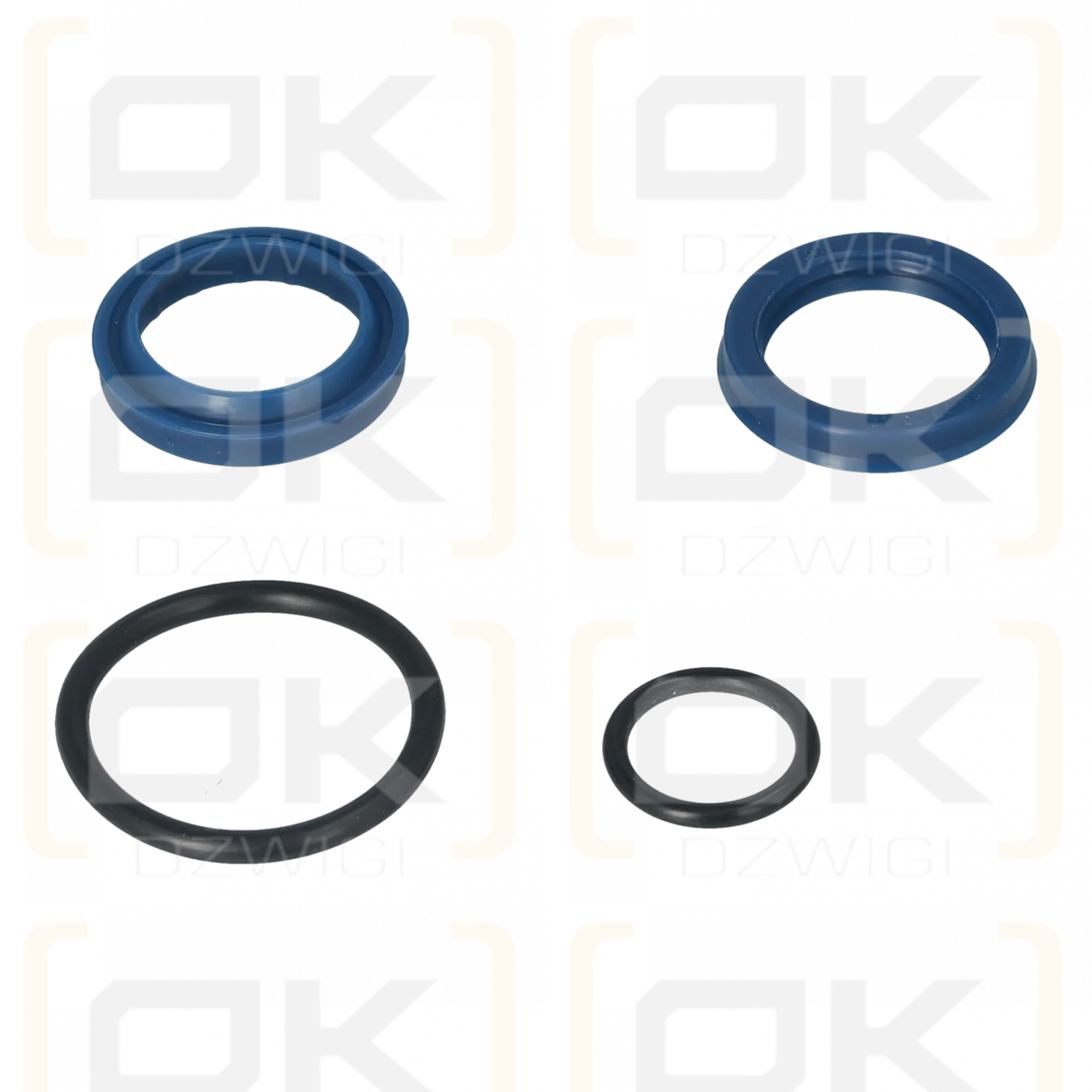 Maxilift seal kit; GZ.9.011