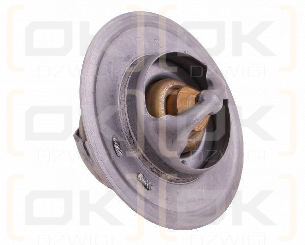 Termostat 895311H1 David Brown CASE POLMO