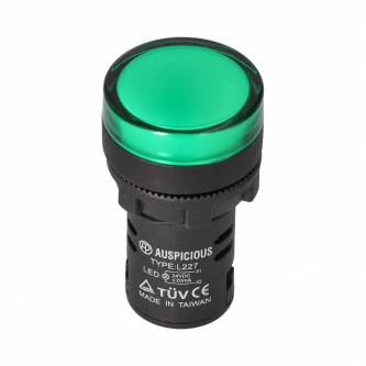 Grüne LED-Kontrollleuchte; 22mm; 24V; konvex