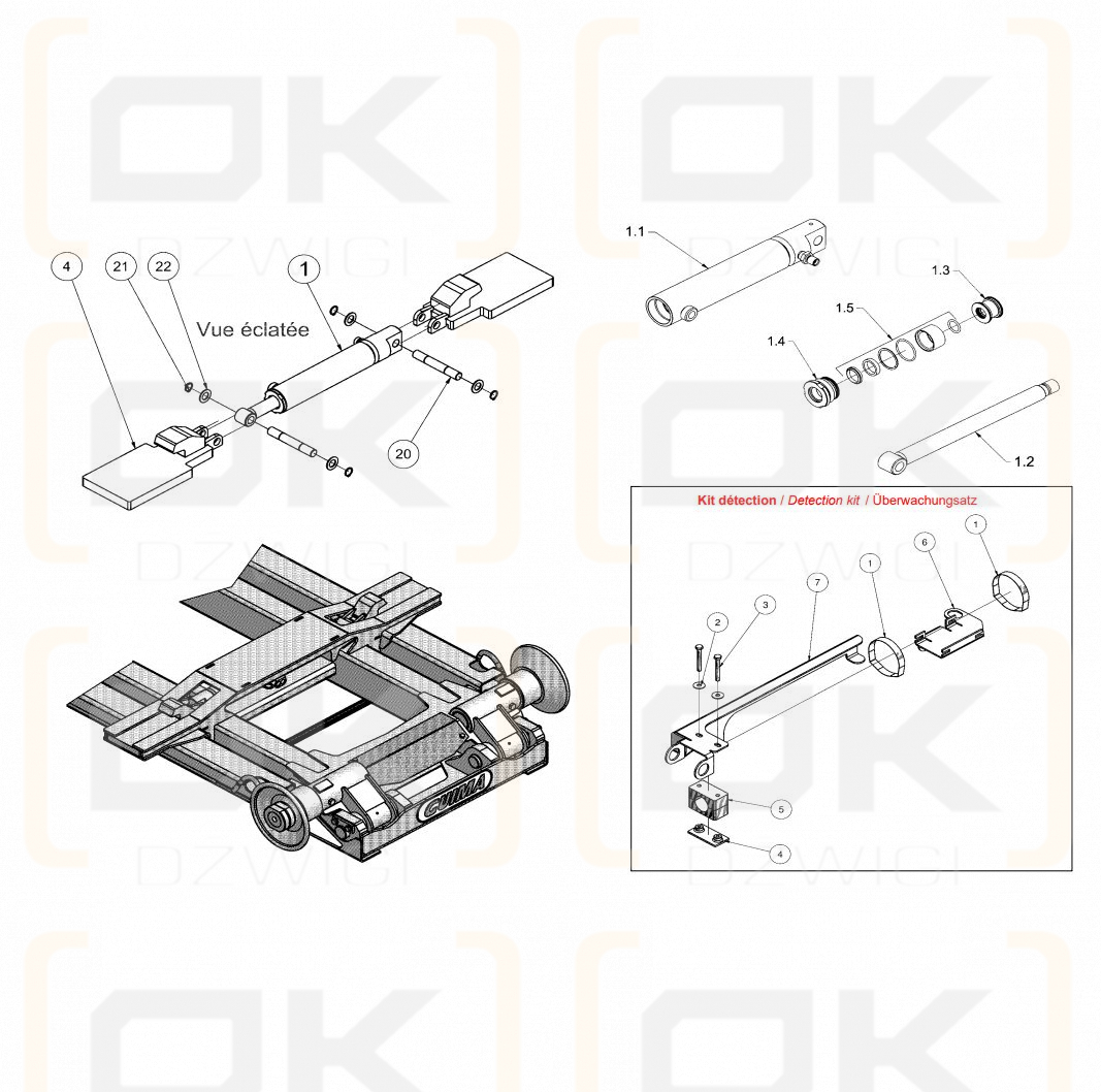 Detection Kit