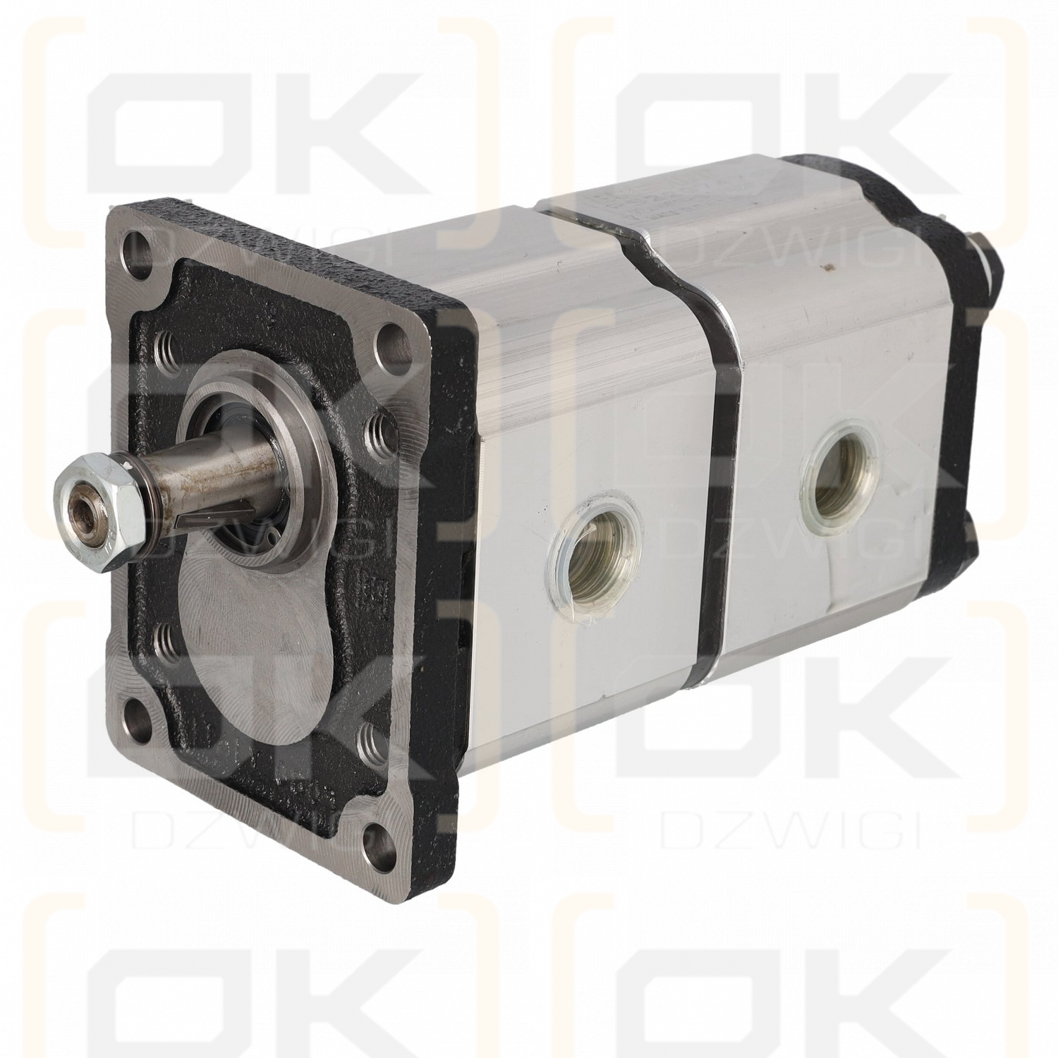 Hydraulische Zahnradpumpe Dana Brevini OT200P14+16D/G28IP2