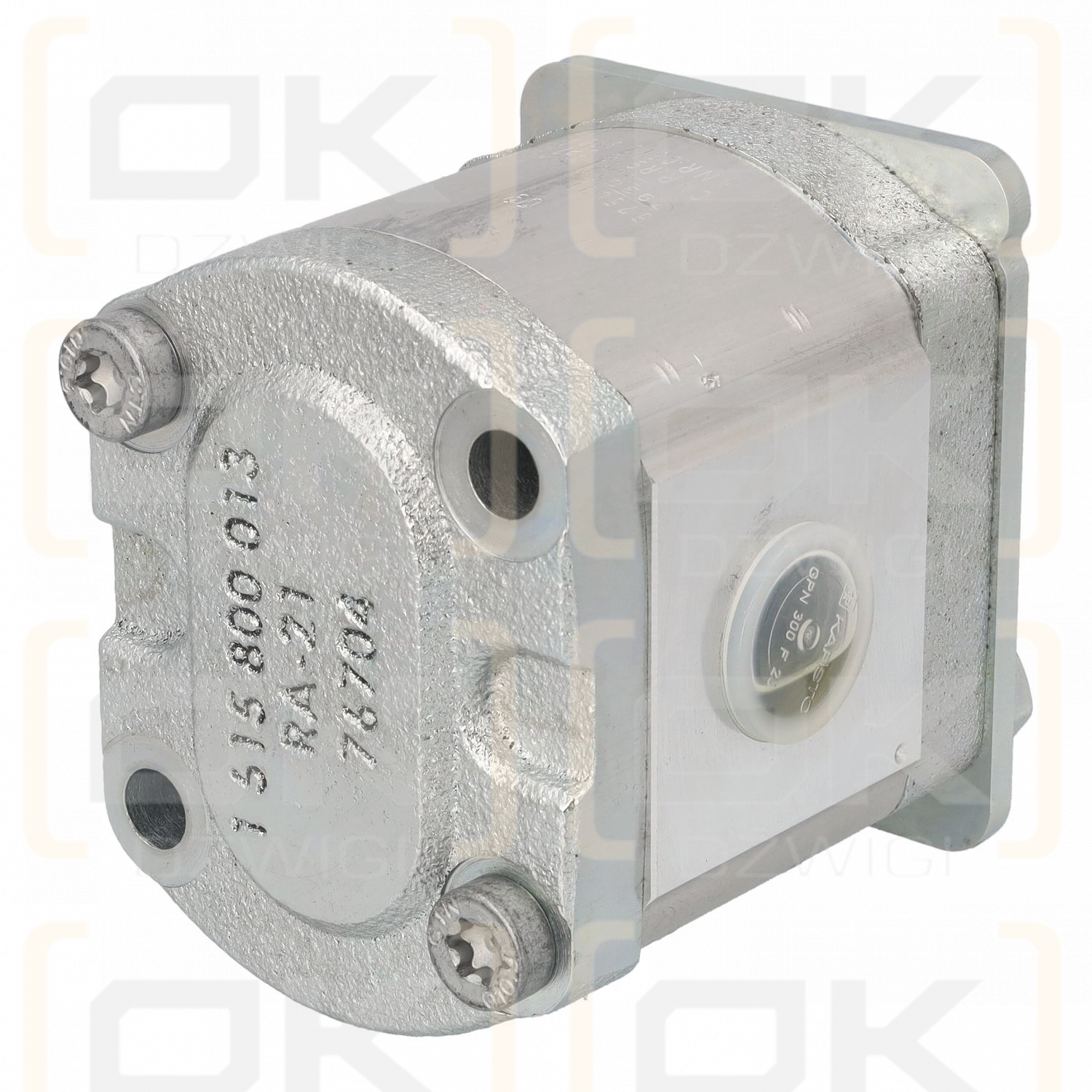 Rexroth AZPF-22-019RII01MB-S1165 Zahnrad-Hydraulikpumpe (ohne Welle)