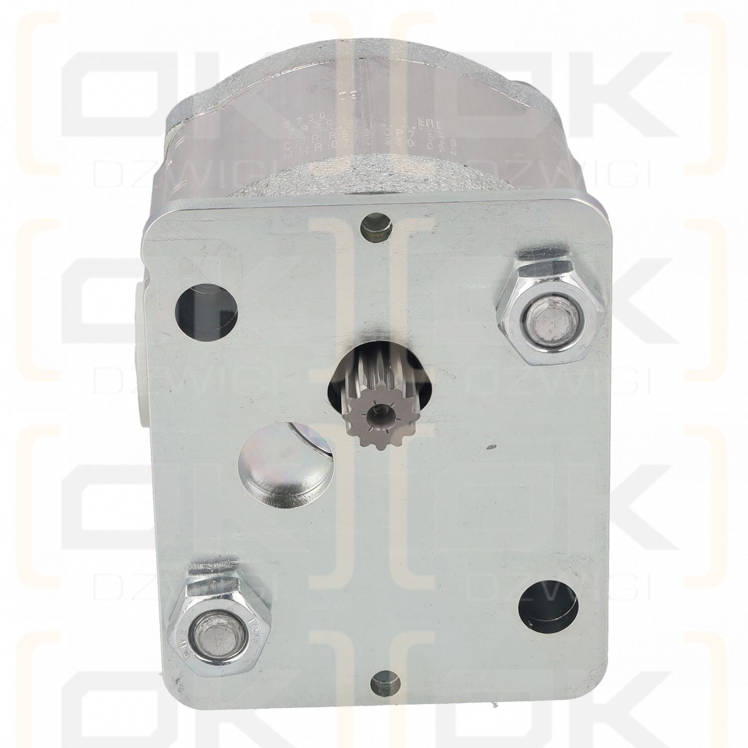 Rexroth AZPF-22-019RII01MB-S1165 Zahnrad-Hydraulikpumpe (ohne Welle)