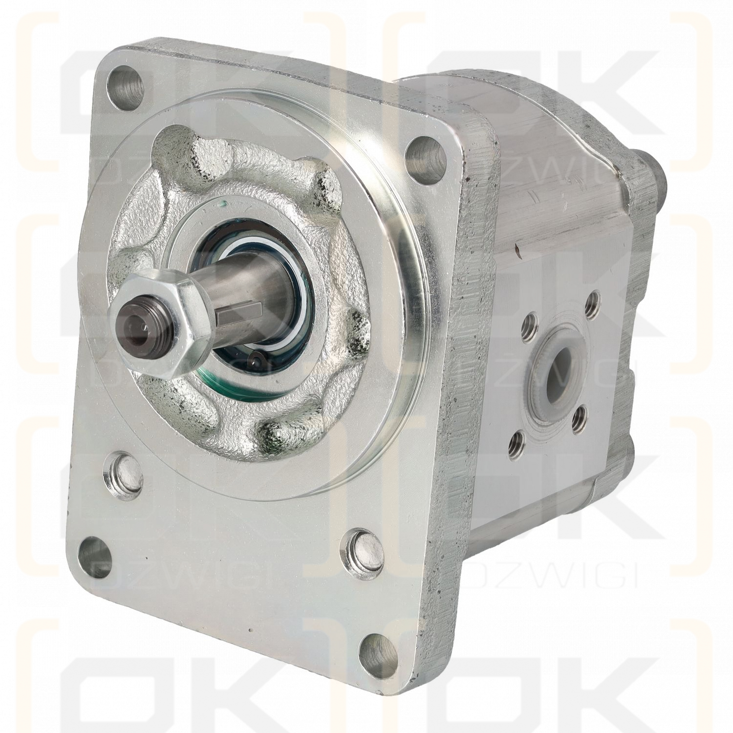 Gear pump AZPF-22-028RCB20MB-S1184