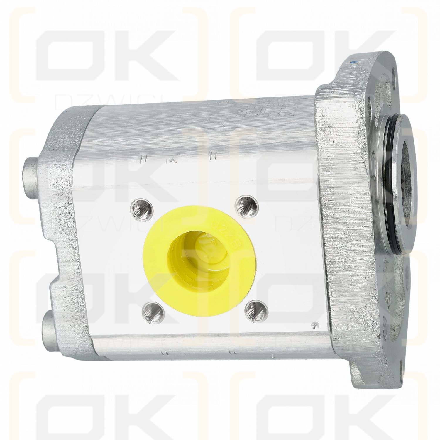 Gear pump AZPF-12-005RZY20MB-S1184