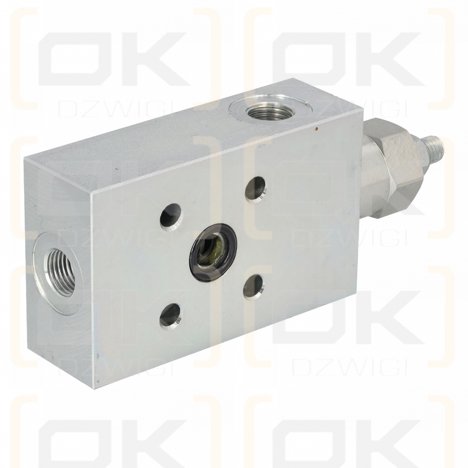 Rexroth Hydraulic Lock 08410203093500B A-VBSO-SE-30-FC1-14-1:4-35