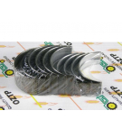 Kpl. panewek głównych N-0,00 (745405M91-736336M91) Massey Ferguson/Perkins