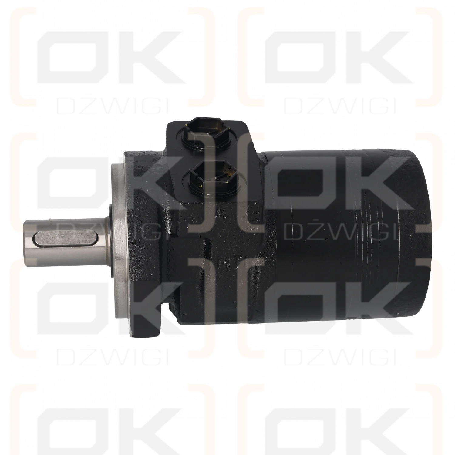 Silnik gerotorowy Parker seria TE TE0165CW260LAAY