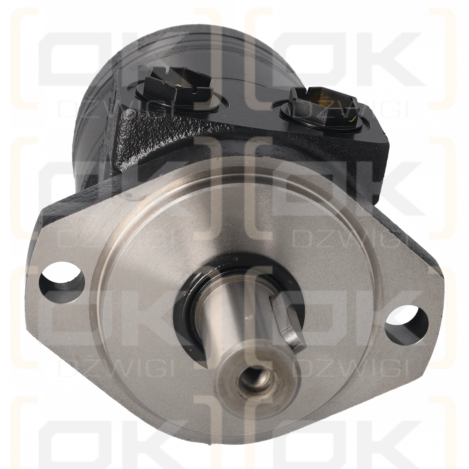 Silnik gerotorowy Parker seria TE TE0165CW260LAAY